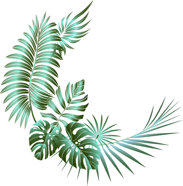 RA 181.png