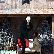 IMG-6466