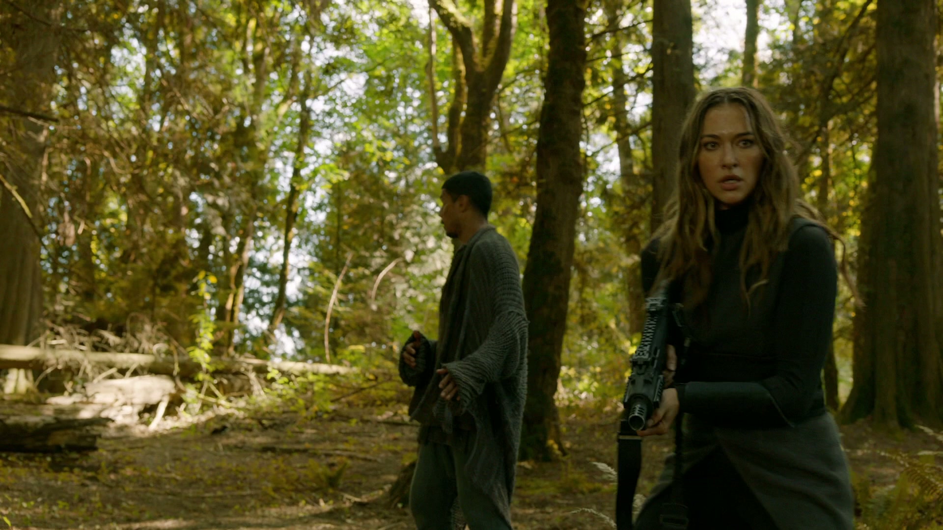 The 100 Screenshot