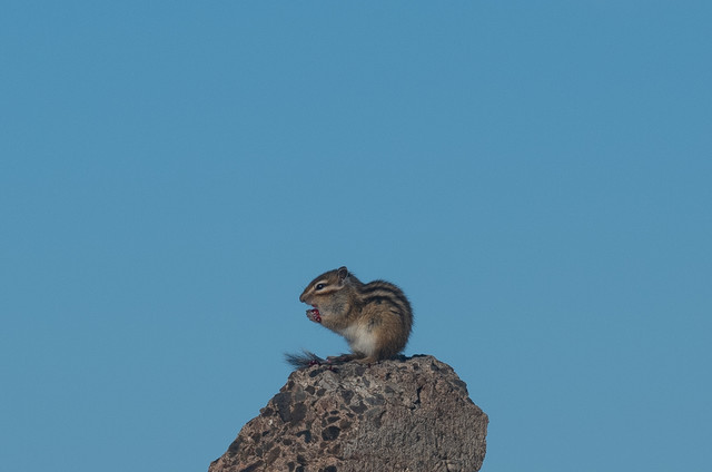 DSCF5763.jpg