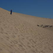 DSCF8586