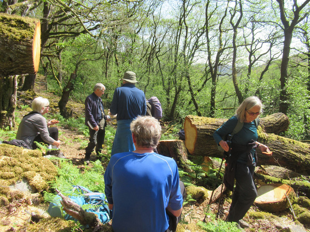 B Llanwrthwl