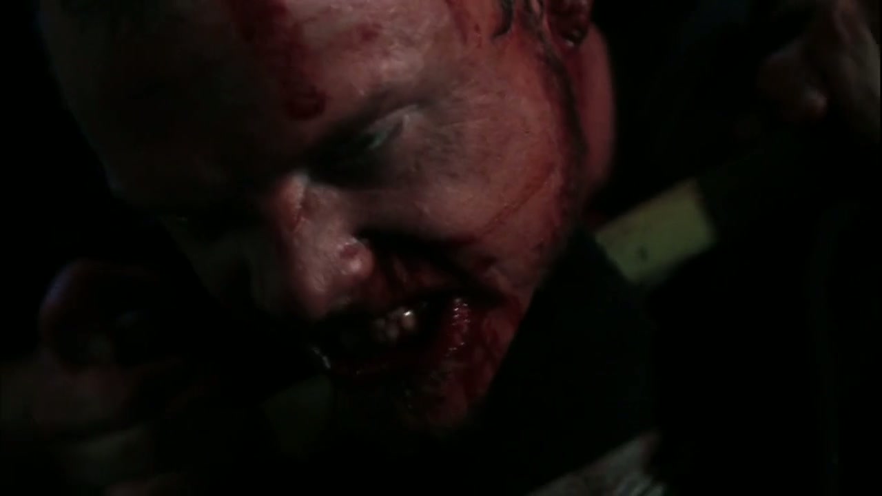 The Signal Screenshot