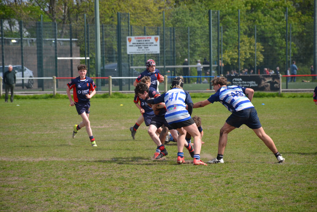 DSC 0781.jpg