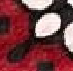 444.png