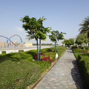 DSC07380