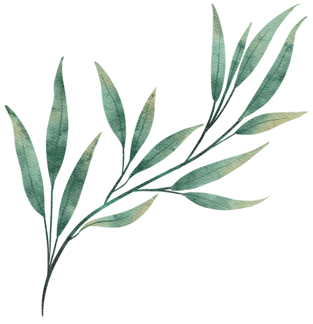 2e45e132990d6c59449dd9bc63827800.png