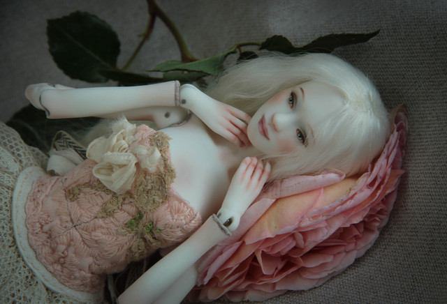 nd26 133.jpg