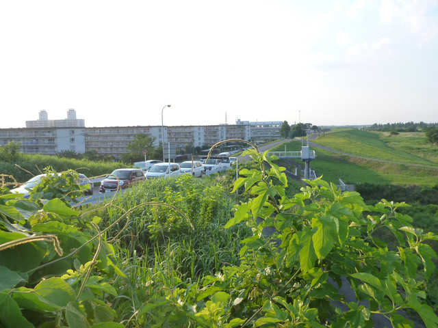 2021-06-10-316.jpg