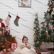 IMG 4489
