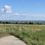 IMG-2521