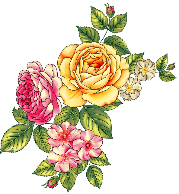 6ac104cc37cc6b20e4b48bfd5bbc40c8.png