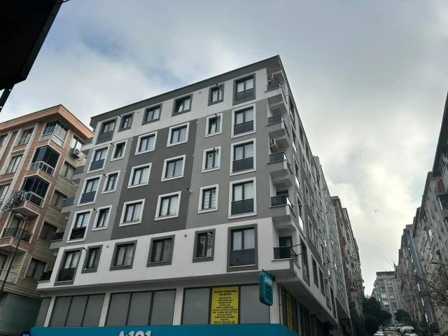 Hallı Proje Görsel 1
