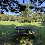 IMG-0161