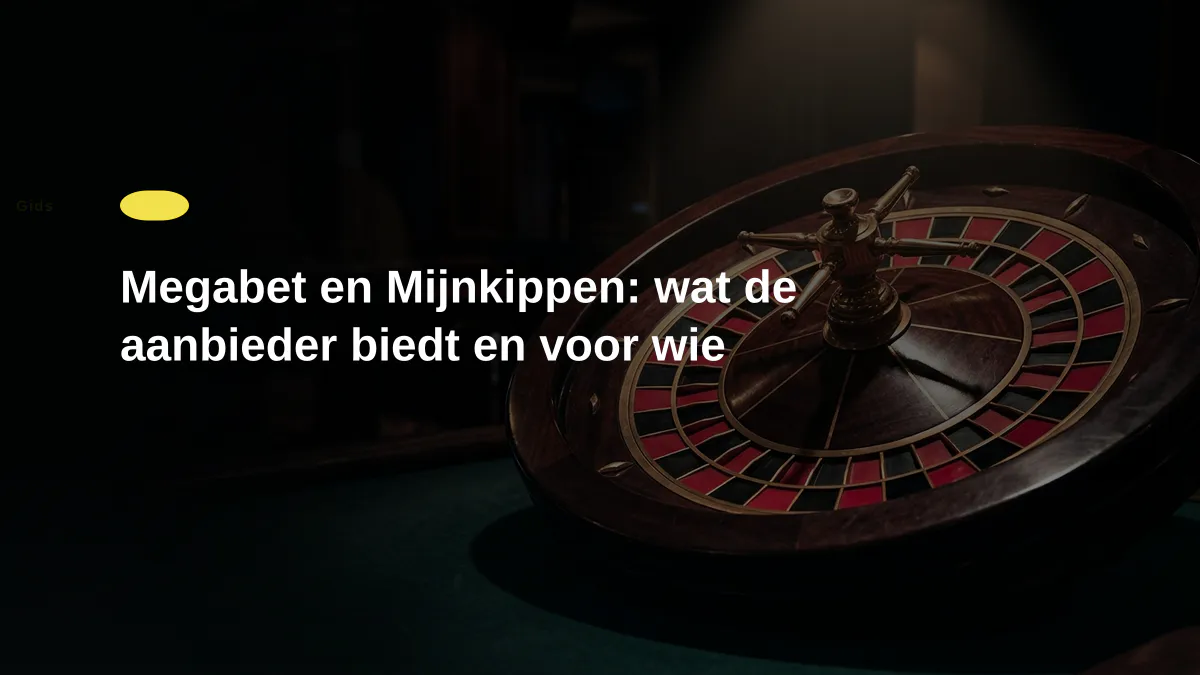 Megabet en Mijnkippen: wat de aanbieder biedt en voor wie