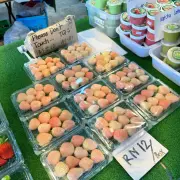 Agro Market11