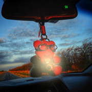 DSCN4865