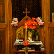 pic-5