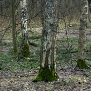 DSC8402-2