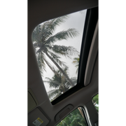 DSC09695