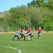 DSC-0187