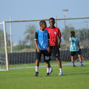 IMG 4225