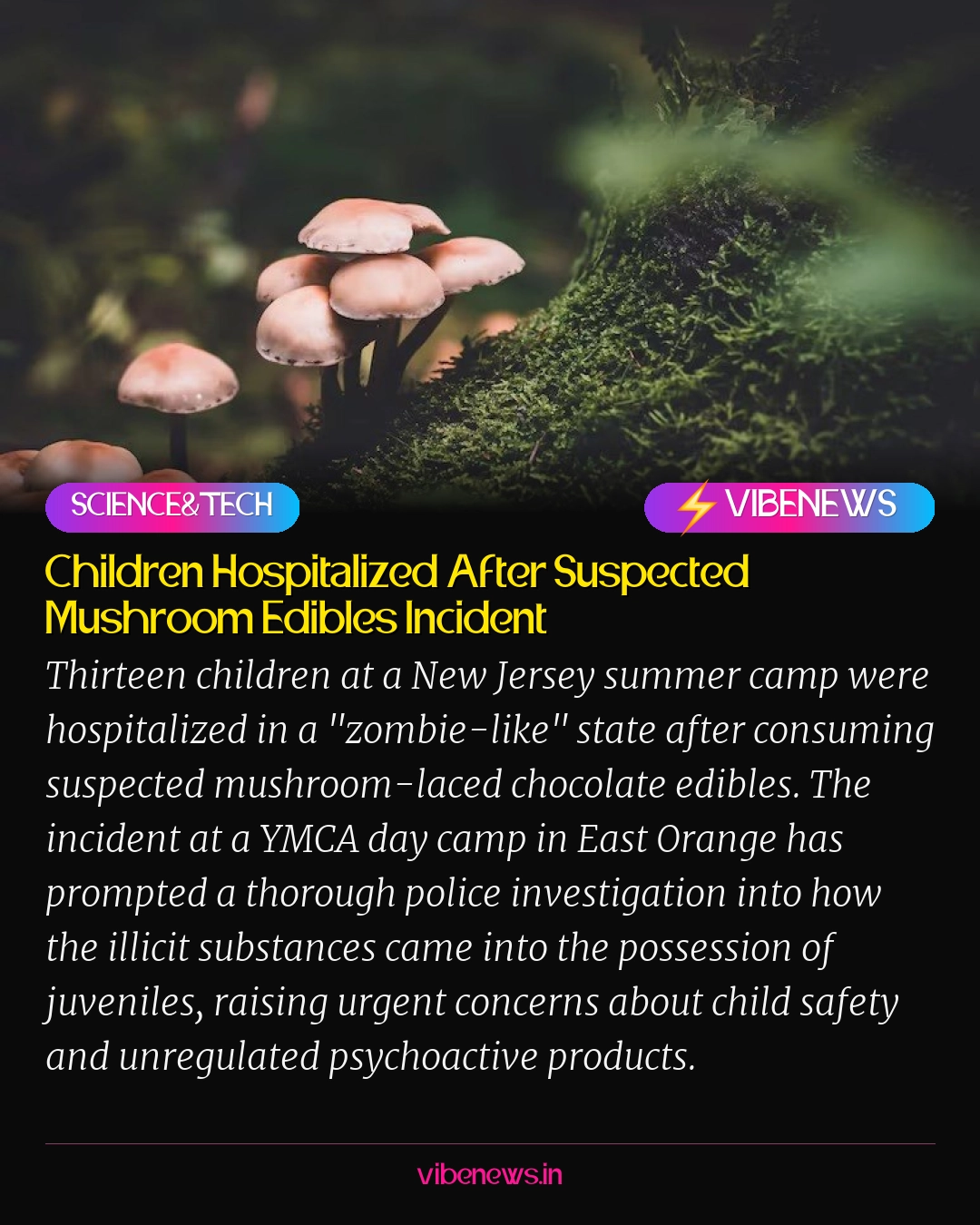 Children Hospitalized After Suspected Mushroom Edibles Incident