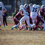 IMG-4135