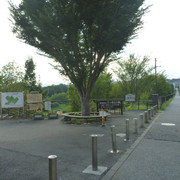 P1350262