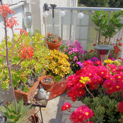 IMG-7801