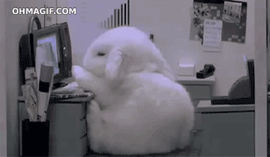 7IW.gif