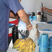 IMG-6407