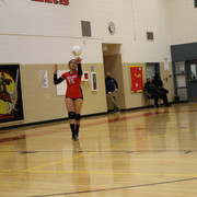 IMG-0219