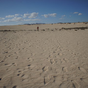 DSC01161
