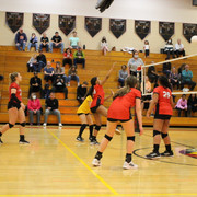 IMG-0235