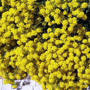P1190400