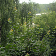 DSC5404-result