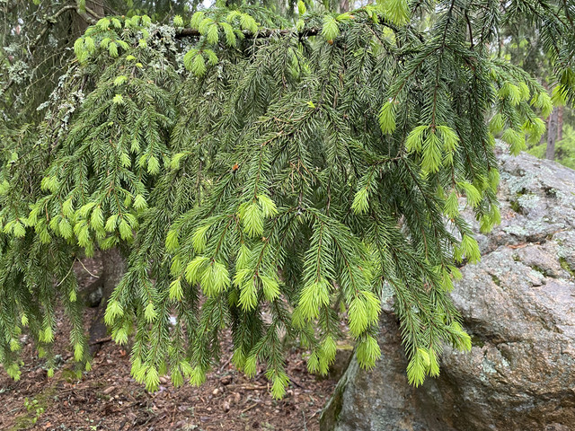 8-E7-C91-C0-149-B-4272-ADE5-6-A7-E7846-C