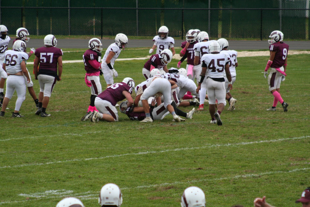 IMG-0706.jpg