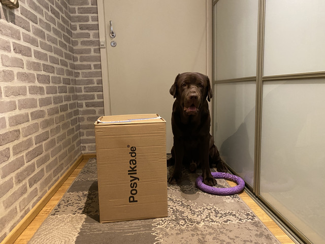 30-D88-C49-36-FF-4-AD4-95-F9-14-F90-E4-A