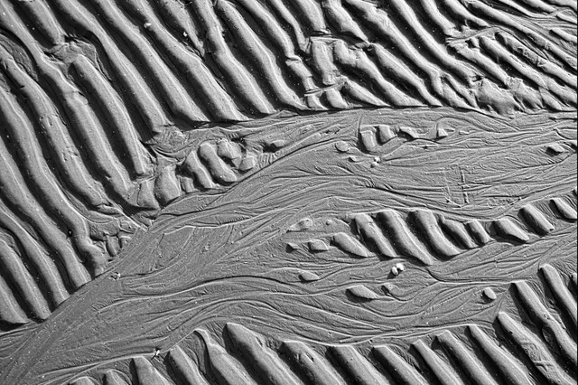 IMGP0544bw.jpg