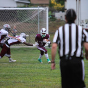 IMG-6951