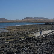 DSCF8363
