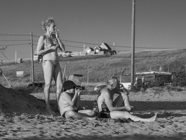 P8195198