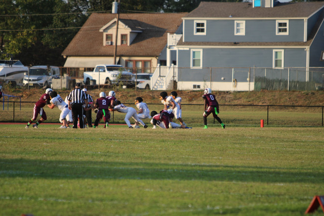 IMG-5446.jpg