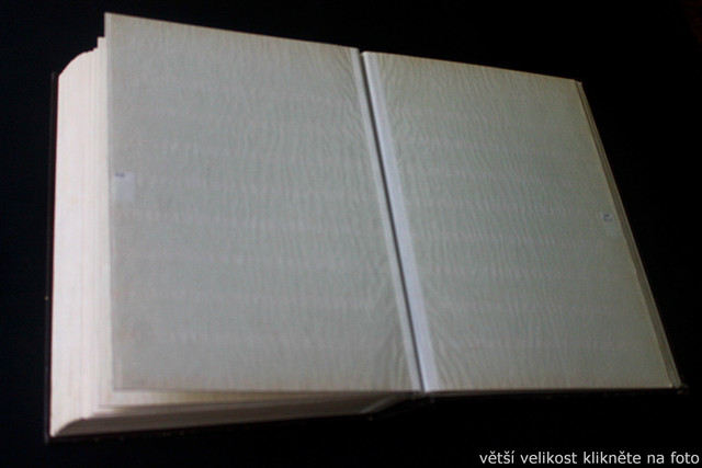 IMG-6943.jpg