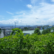 P1330919