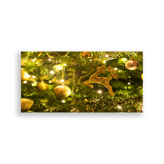 702373-Natal