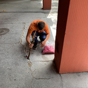 IMG-4383