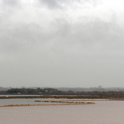 IMG-3426